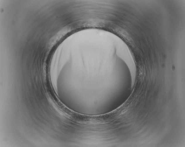 X0000062900678200602031833