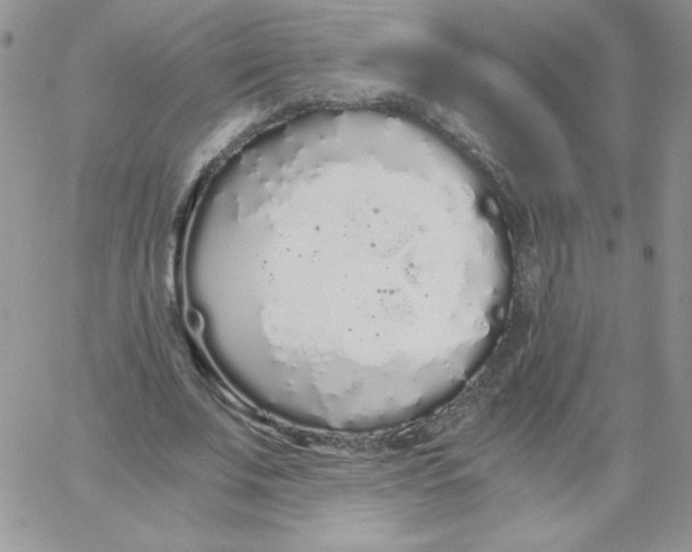 X0000062900679200602031833