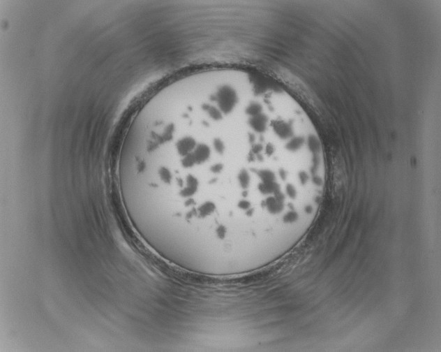 X0000062900680200602031833