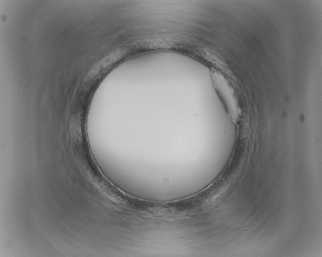 X0000062900681200602031833