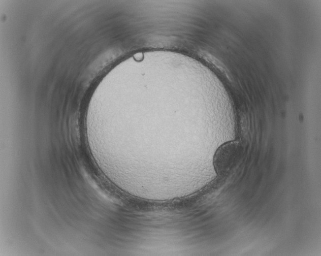 X0000062900682200602031833