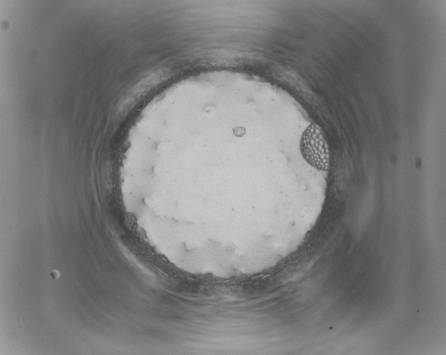 X0000062900683200602031833