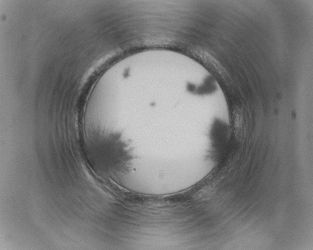 X0000062900684200602031832