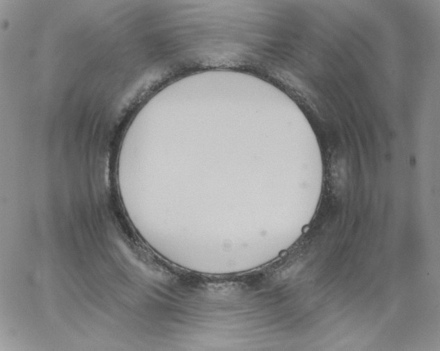 X0000062900686200602031832