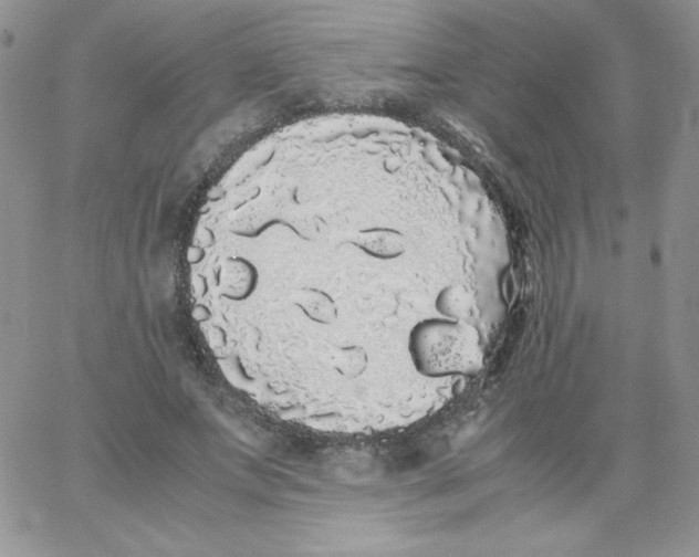 X0000062900687200602031832