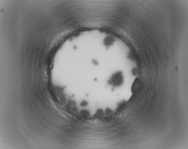 X0000062900688200602031832