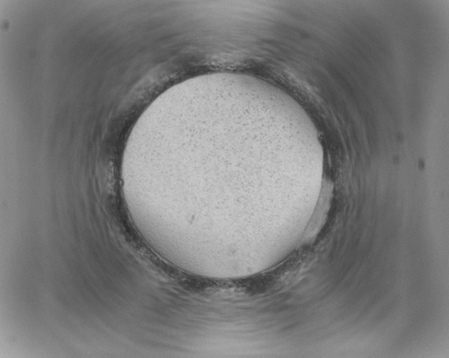 X0000062900689200602031832