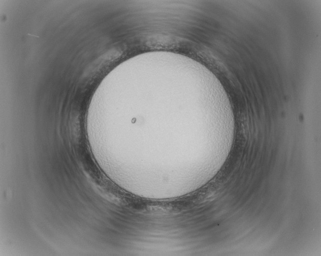 X0000062900690200602031832