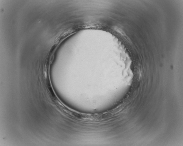 X0000062900691200602031832