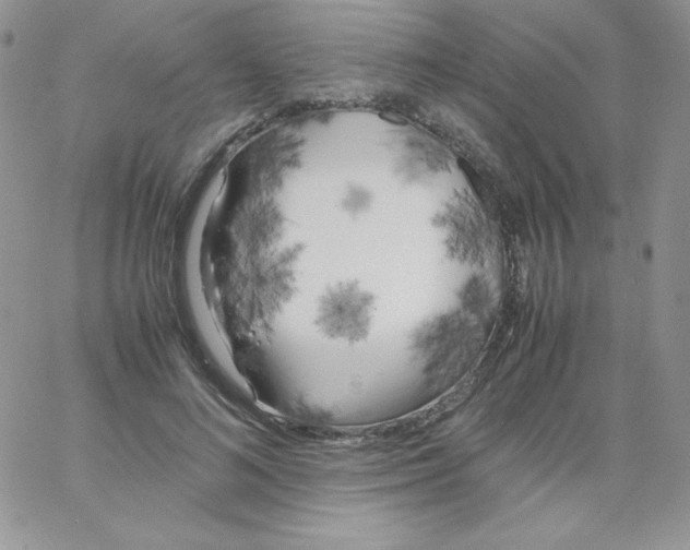 X0000062900692200602031832