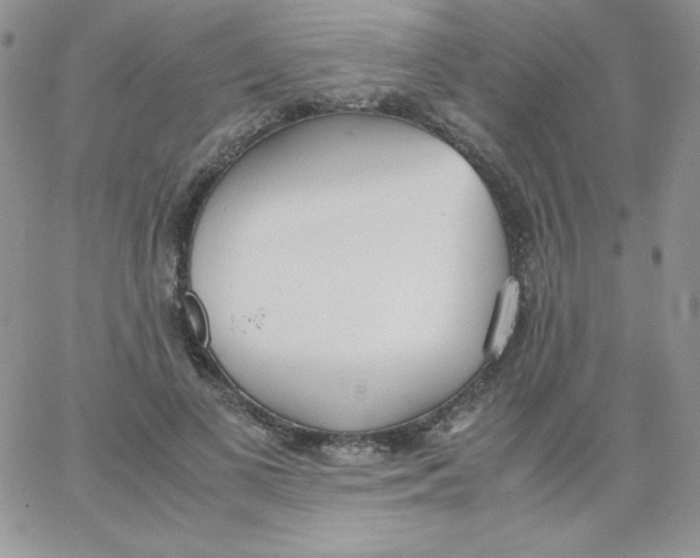 X0000062900693200602031832