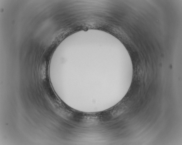 X0000062900694200602031832