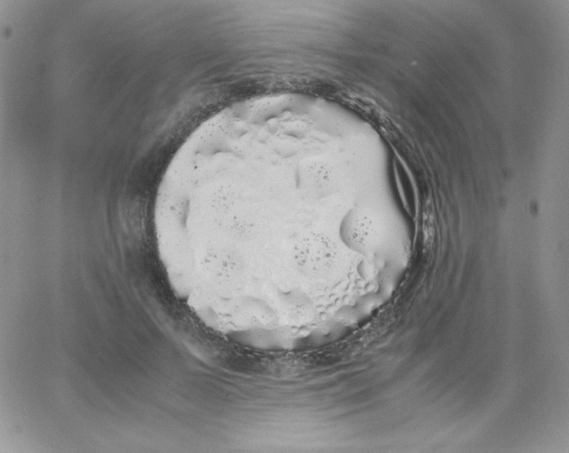 X0000062900695200602031832