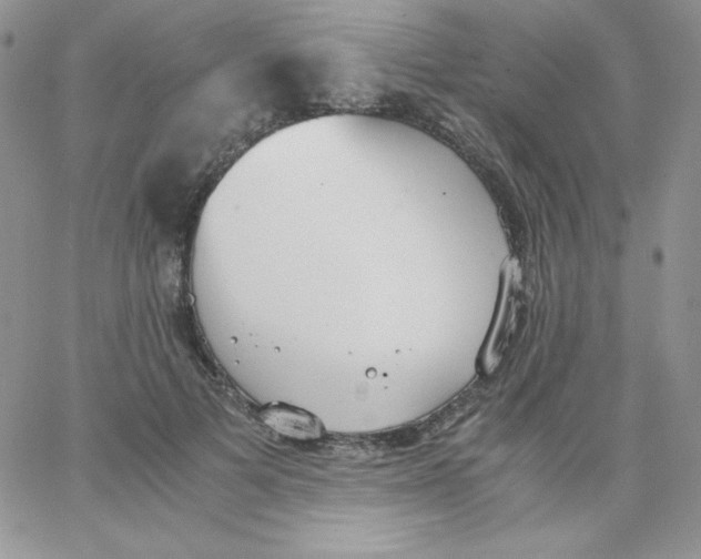 X0000062900697200602031832