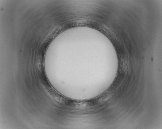 X0000062900698200602031832