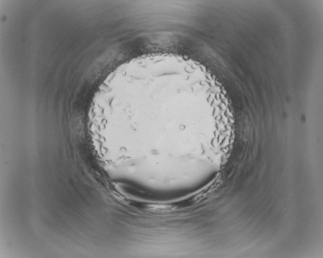 X0000062900699200602031832