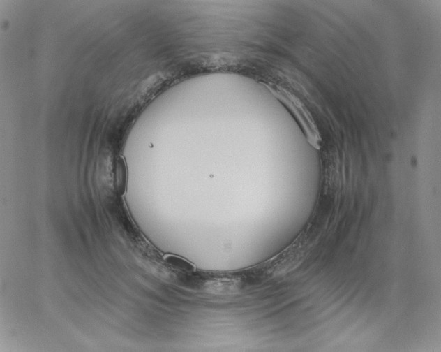 X0000062900700200602031832