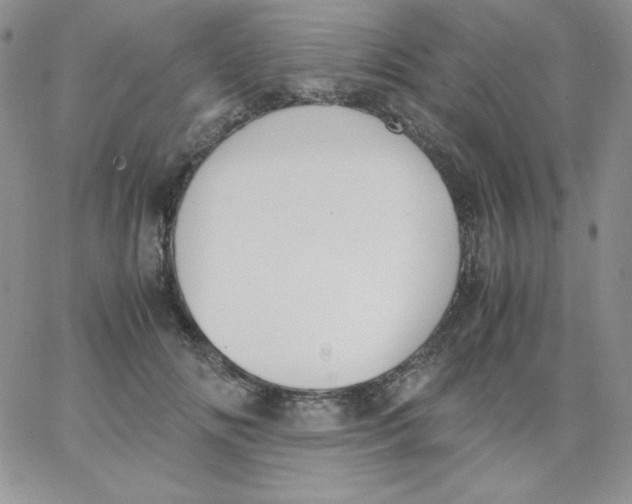 X0000062900702200602031832