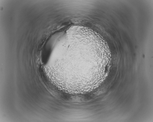 X0000062900703200602031832