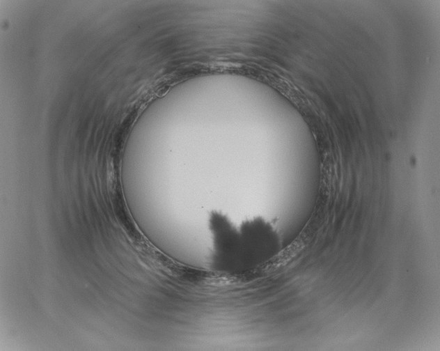 X0000062900704200602031832