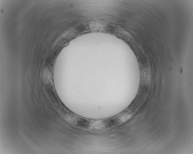 X0000062900705200602031832