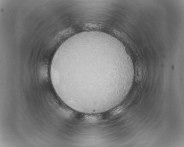 X0000062900706200602031832