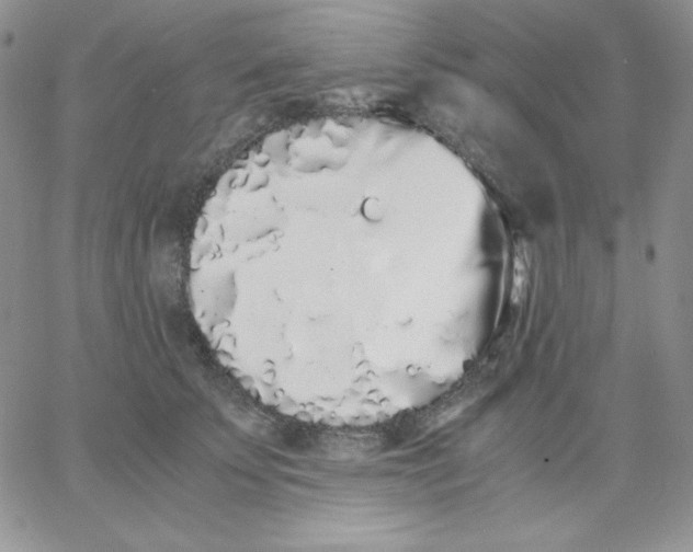 X0000062900707200602031832