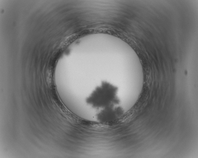 X0000062900708200602031832