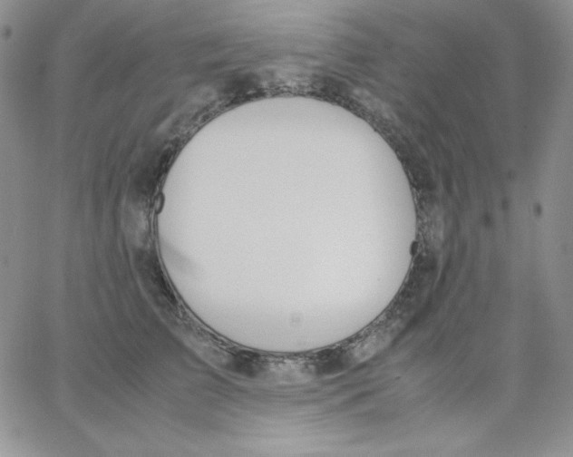 X0000062900709200602031832