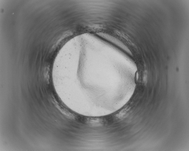 X0000062900710200602031832