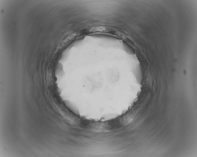 X0000062900711200602031832