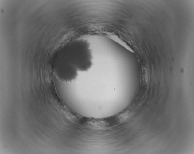 X0000062900712200602031832