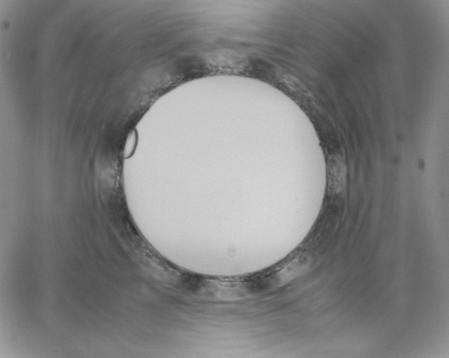 X0000062900713200602031832