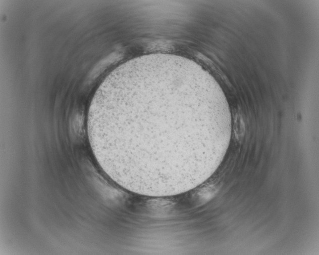 X0000062900714200602031832