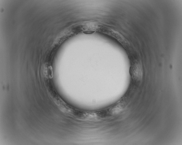 X0000062900715200602031832