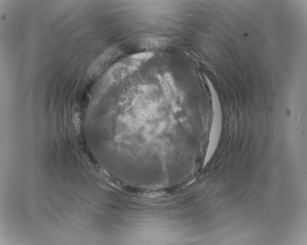 X0000062900716200602031832