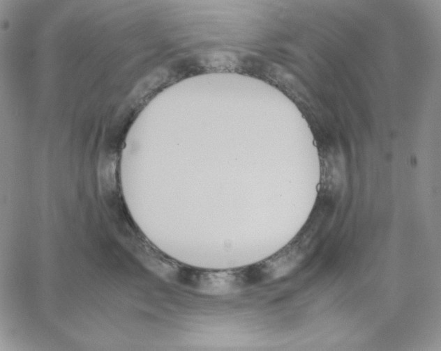 X0000062900717200602031832