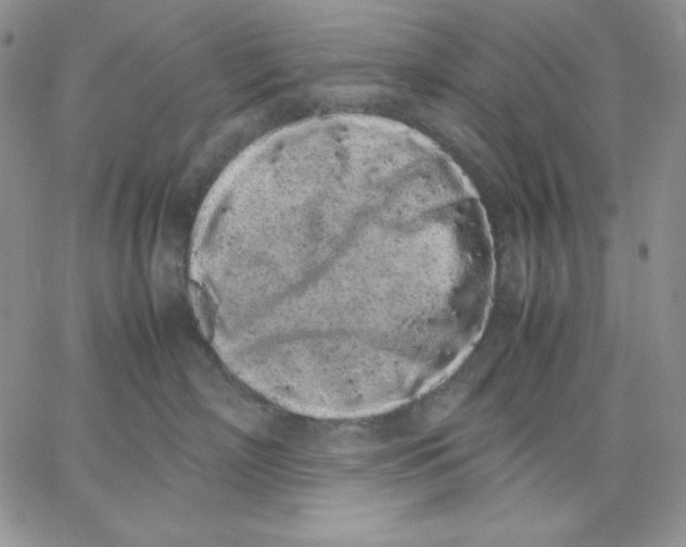 X0000062900718200602031832