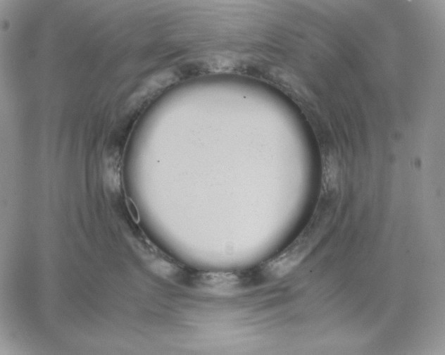 X0000062900719200602031832