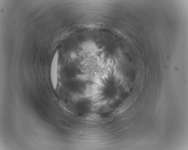 X0000062900720200602031832