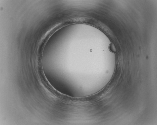 X0000062900722200602031831