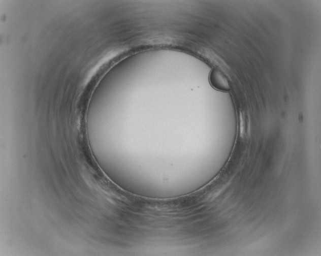 X0000062900723200602031831