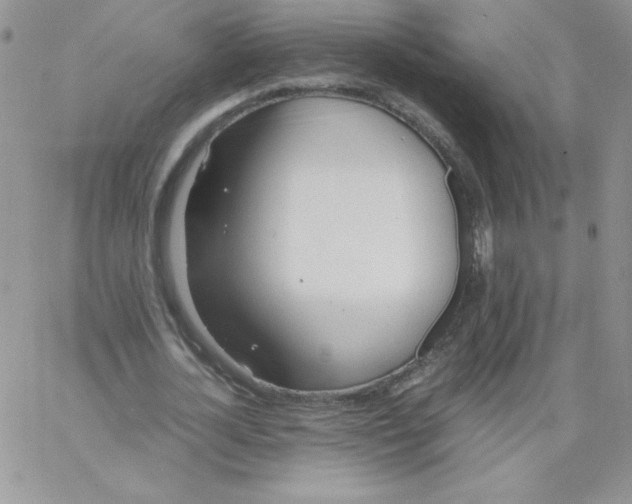 X0000062900724200602031831