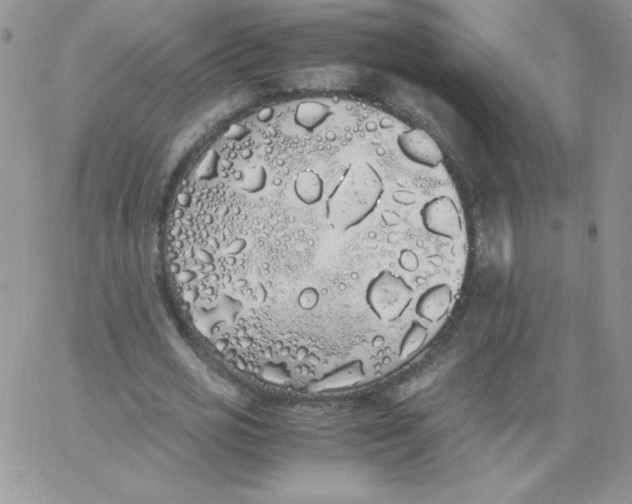 X0000062900725200602031831