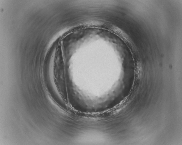 X0000062900726200602031831