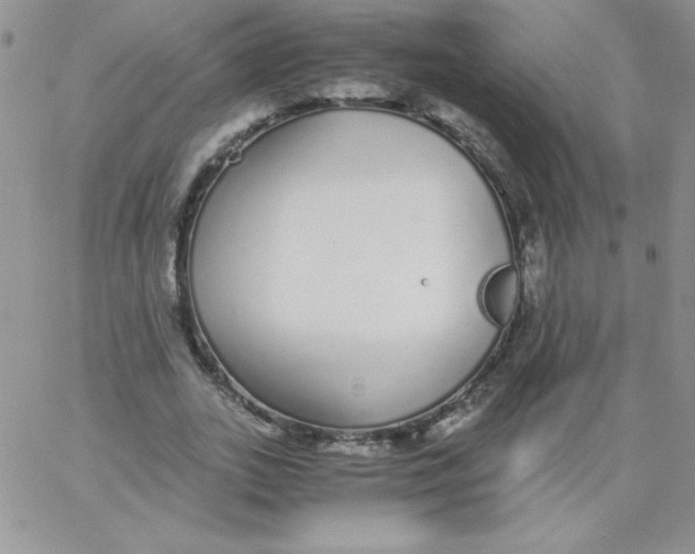 X0000062900727200602031831