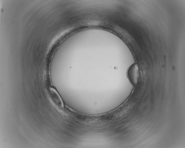 X0000062900728200602031831