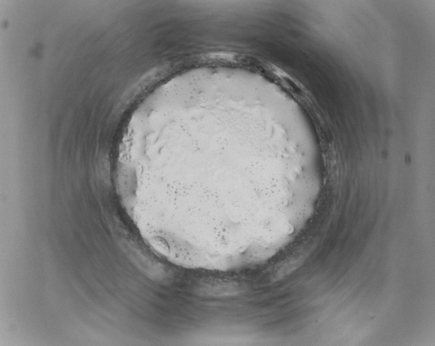 X0000062900729200602031831