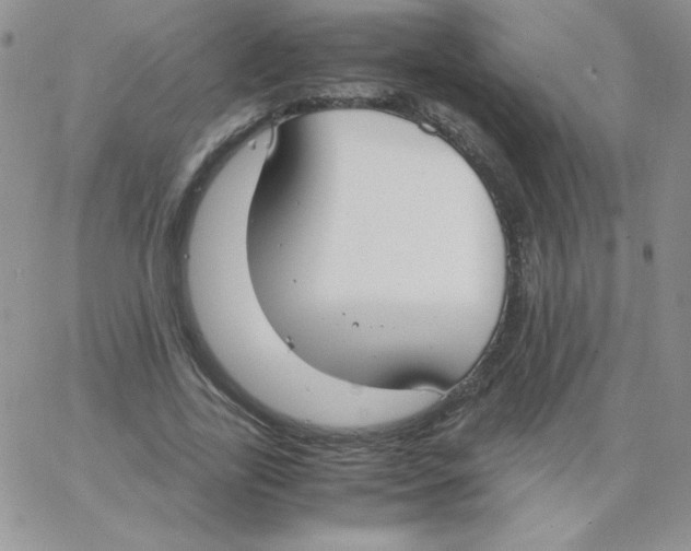 X0000062900731200602031831