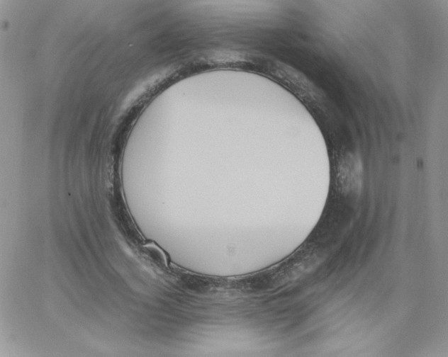 X0000062900732200602031831